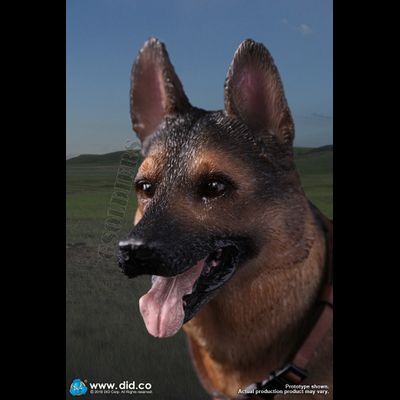 Немецкая овчарка (Служебная собака) - Коллекционная ФИГУРКА 1/6 scale German Shepherd (AS003) - DID