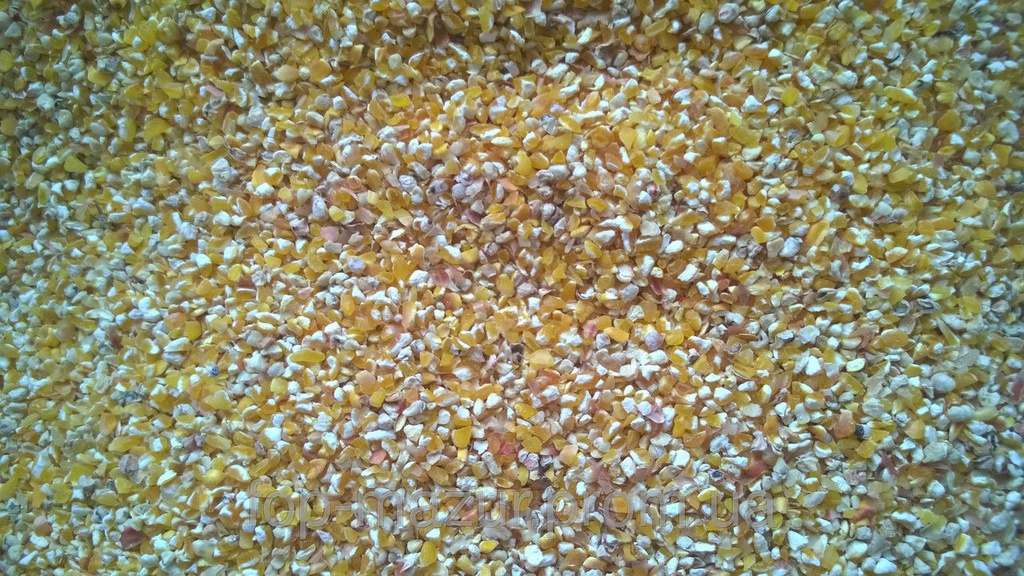 Дробленка кукурузы. Крупа пшеничная дробленая. Дробленка кукурузы. Дробленка кукурузы. Кукуруза дробленая 25.