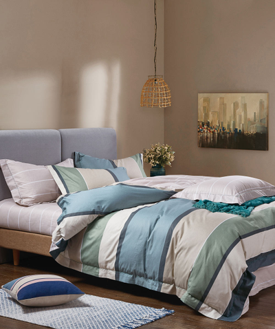 Постельное белье CRISTELLE AMANTE комплект сатин евро 200x220x1 230x250x1 50x70x2 70x70x2 AM04-149