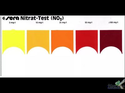 Тест Sera NO3 на содержание Нитратов