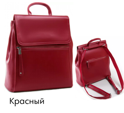 Сумка-рюкзак French с горизонтальной молнией + ПОДАРОК, Цвет: Бордовый, Черный, Синий, Красный,  Изумрудный, Сиреневый