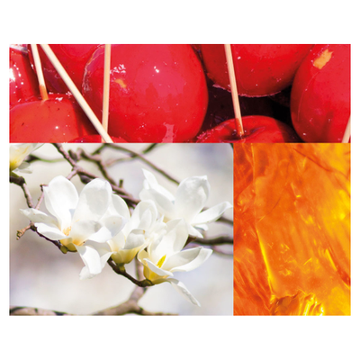 Pierre Guillaume Superlady