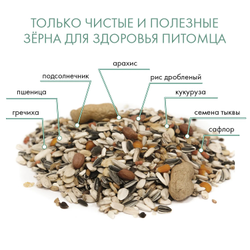 Fiory (Фиори) Pappagalli корм для крупных попугаев, 700 г