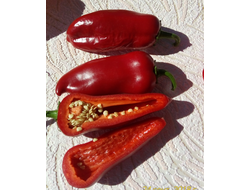 Перец сладкий Куртовская капия