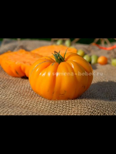 Томат Oro Giant (ОРО Гигант), 10 шт