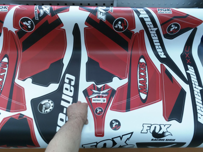 Can-am BPR Renegade #769