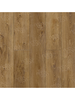 SPC ламинат NatisStone LEGER  Host 5001-02