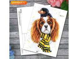 Верный друг Пуффендуя