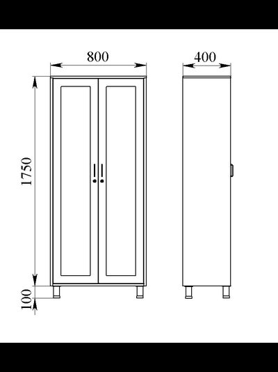 Шкаф-витрина медицинский металлический ШВМр-2.1