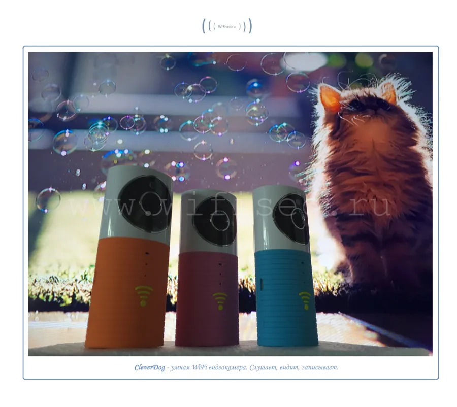 CleverDog умная WiFi p2p видеокамера от WiFisec.ru