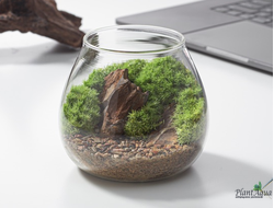 Чаша Пузырь Biolark  FOUR (120мм х 105мм)