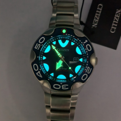 Наручные часы Citizen BN0231-52L