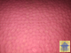 Молд силиконовый «ЗЕРНА», 25*18 см, цвет МИКС