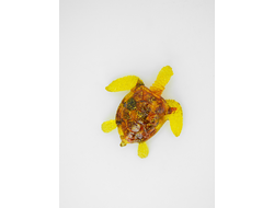 Сувенир - магнит "Черепаха плавающая "