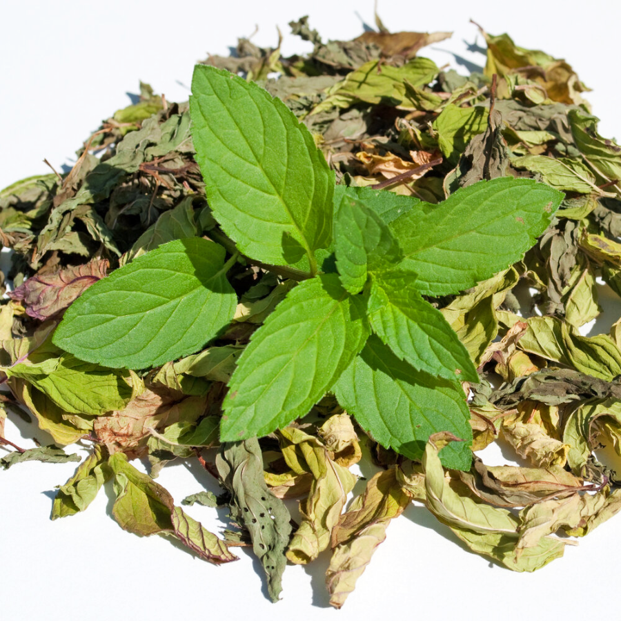 мята лимонная бергамотная. замерзшая мята. мята перечная саженцы. мята перечная пряность. мята минт.