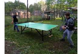 НАСТОЛЬНЫЙ ТЕННИС