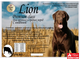Корм для собак Grand Dog Lion Premium class для средних и крупных пород с говядиной