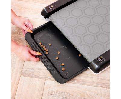 Беговая дорожка Yesoul для собак