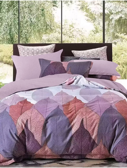 Постельное белье 1.5 спальное TANGO фланель 150x200x1 180x230x1 50x70x1 70х70х1 1-MOMAE221