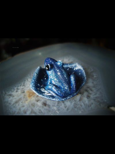 &quot;Синяя Китовая лягушка&quot;, волшебная мини-брошь с гематитовой звёздочкой