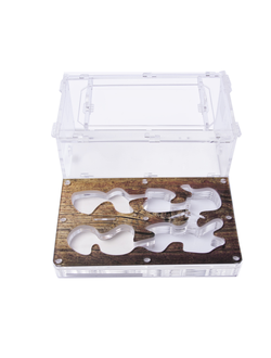 Муравьиная ферма 4ants Antrum M дерево