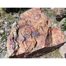 Валун Хамелеон скальный