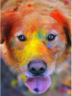 Тимбилдинг Краски Холи