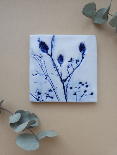 Шалфей // 10*10