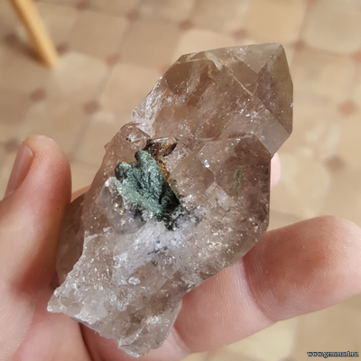 Кристалл сфена (титанита)  на хлорит-серицитовом сланце на друзе дымчатого кварца (раухтопаза) 74*55*42мм