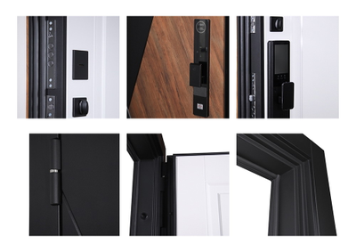 Стальная дверь   Plata (биометрический замок Smart lock Y23)