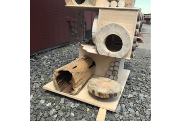 Домик для кошки из спилов с древесными грибами. Работа spilcenter.com