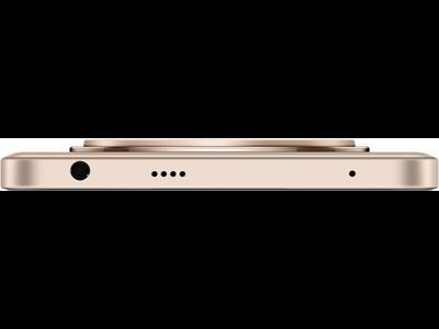 Realme 13 Plus 5G 8/256GB (RMX5000) Золотой