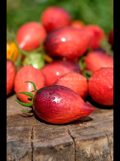 Томат Загадка Клубничного Водопада
