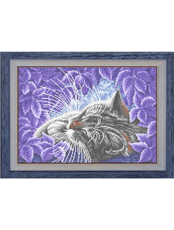 Сиреневые сны, К3267