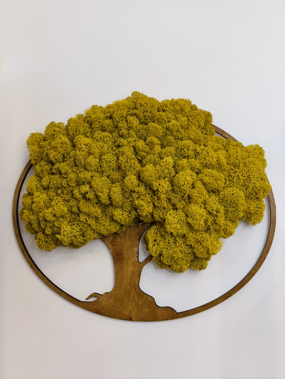 ЖИВАЯ ЭКО-КАРТИНА 1008