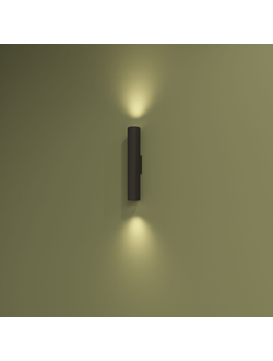 Настенный светильник Denkirs DK5022-BK