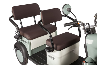 Электротрицикл Rutrike Gelbert Beta 48V/60V 800Вт зелено-белый