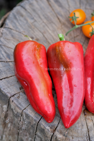 Перец сладкий Гена, 10 шт