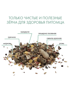 Fiory (Фиори) Ratty корм для крыс, 850 г