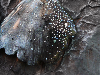 Мистические серьги "Крылышки Туманной Феи"