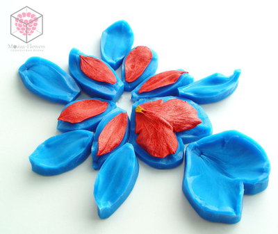 "Орхидея Камбрия" набор вайнеров и каттеров