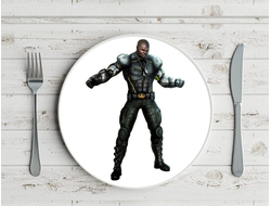 Тарелка Мортал Комбат, Mortal Kombat №35