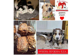 04.03.21 МЫ ПЕРЕДАЛИ НАШИ С ВАМИ ПОДАРКИ ПОДОПЕЧНЫМ КУРАТОРА ЮЛИИ ПИЛЬЩИКОВОЙ (ПРИЮТ ХВОСТИКИ). ЗА ПЕРИОД С 22.12.20 ПО 03.03.21 СУММА ПО БЛАГОТВОРИТЕЛЬНЫМ КУПОНАМ СОСТАВИЛА 6667 РУБ. ВСЕМ, КТО ПРИНИМАЕТ УЧАСТИЕ В АКЦИИ, ОТ СОБОДЕТОК БОЛЬШОЕ СПАСИБО!