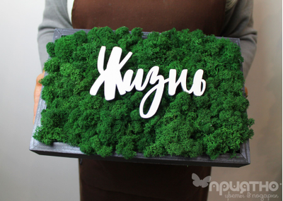 ЖИВАЯ ЭКО-КАРТИНА 1054