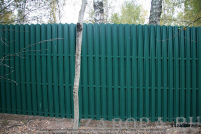 Забор из евроштакетника (шахматка)