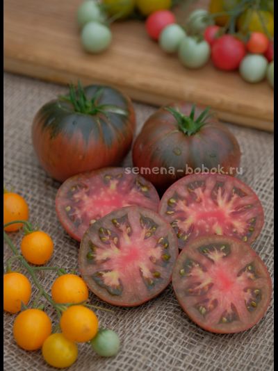 Томат Dwarf Pierce’s Pride (Гном Гордость Пирса), 10 шт