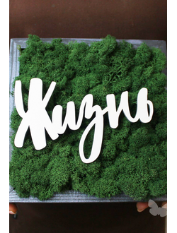 ЖИВАЯ ЭКО-КАРТИНА 1058