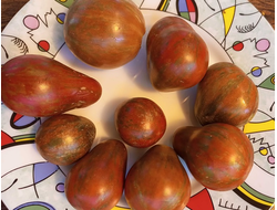 Томат Гном Морские колокольчики (Dwarf Maritime bells)