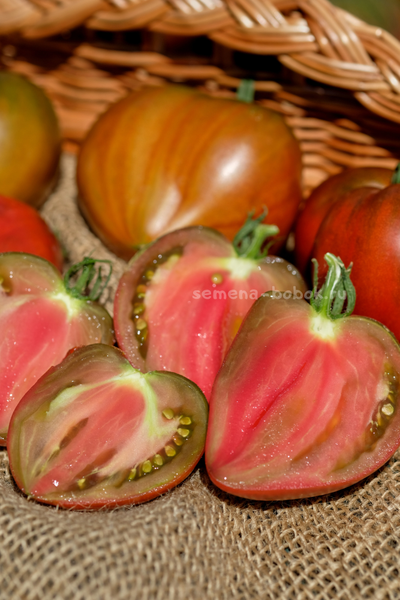 Томат Сердце Линнея (Linnaeus Heart), 10 шт