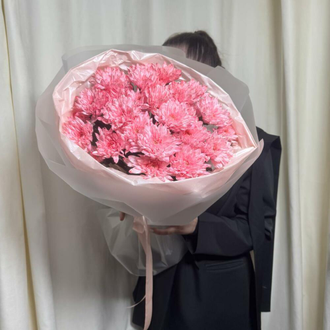 Нежная хризантема